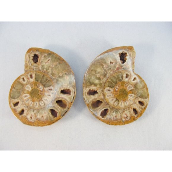 Cut Split Pair Polished Ammonite Fossil Crystal with Stands Small 3" x 2.5" - Picture 13 of 15